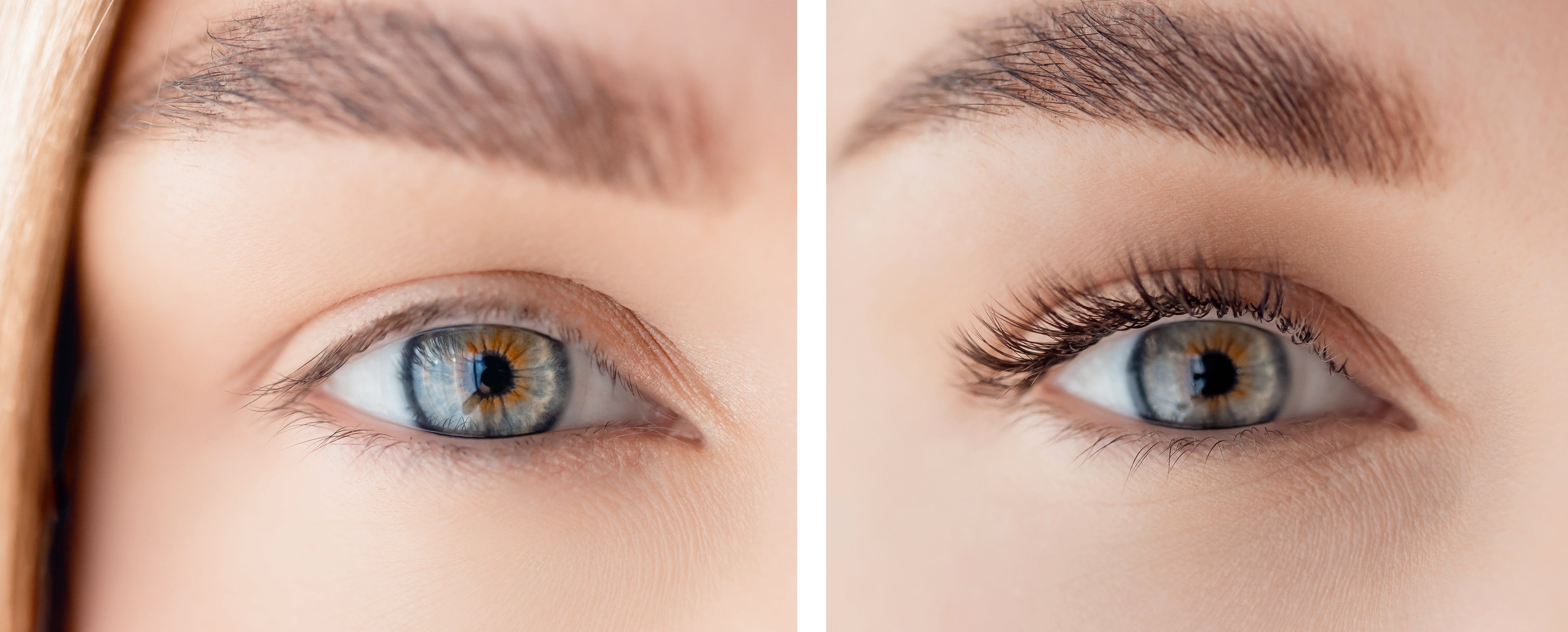 DLUX Lash and Brow Mastery Class - Lash Lift & Brow Lamination | 6hrs